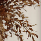 Willow Leaf Spray in Harvest on a beige background at Addison West