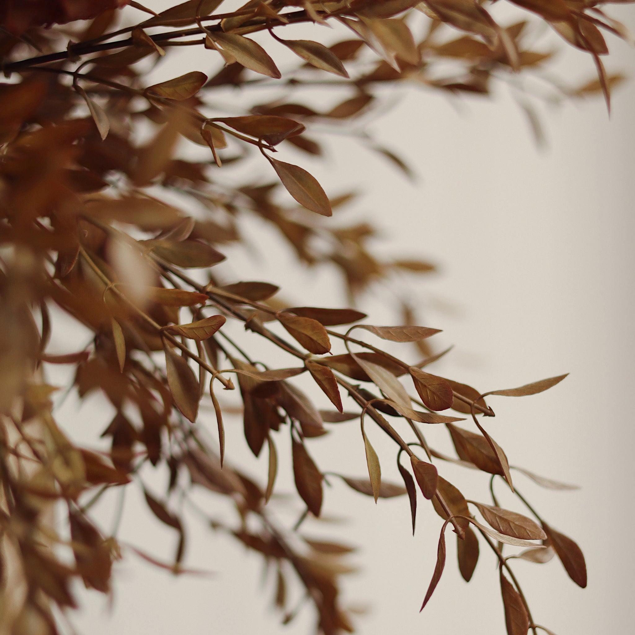 Willow Leaf Spray in Harvest on a beige background at Addison West