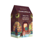 McCrea's flavor trio gabled brown box with festive holiday cat family illustration 