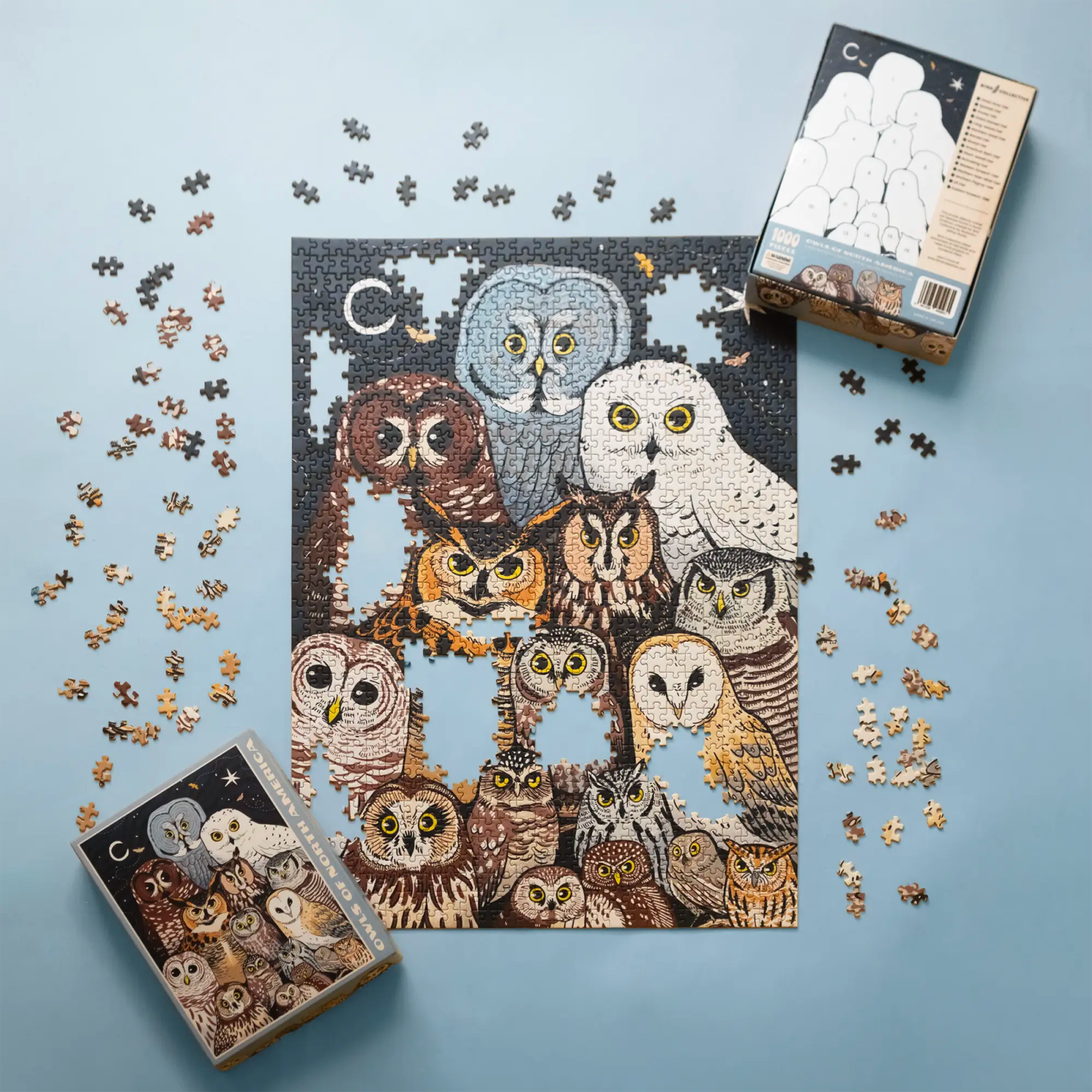 Owls of North America Puzzle on a blue background at Addison West