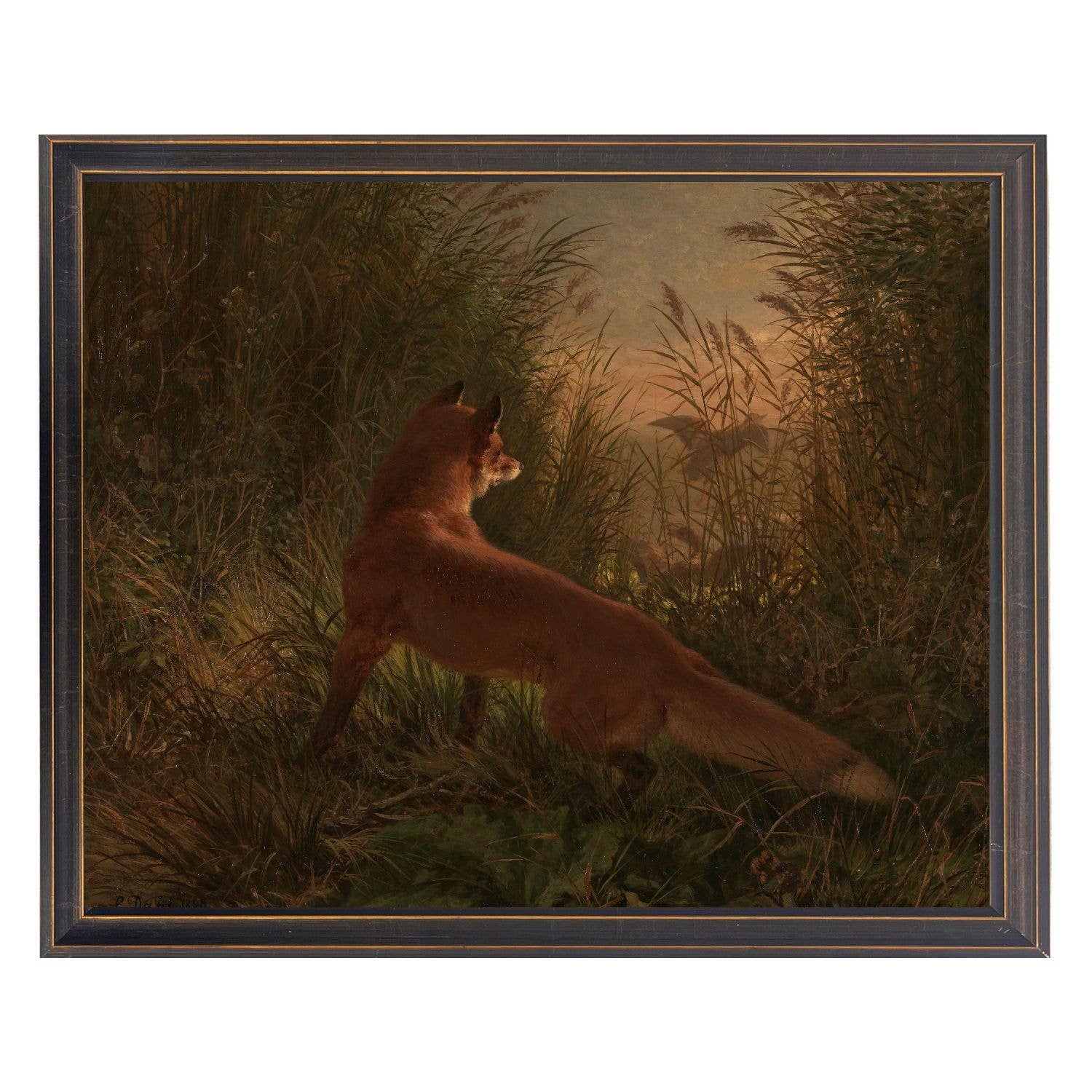 Fox in Tall Grass Vintage Artwork on a white background at Addison West