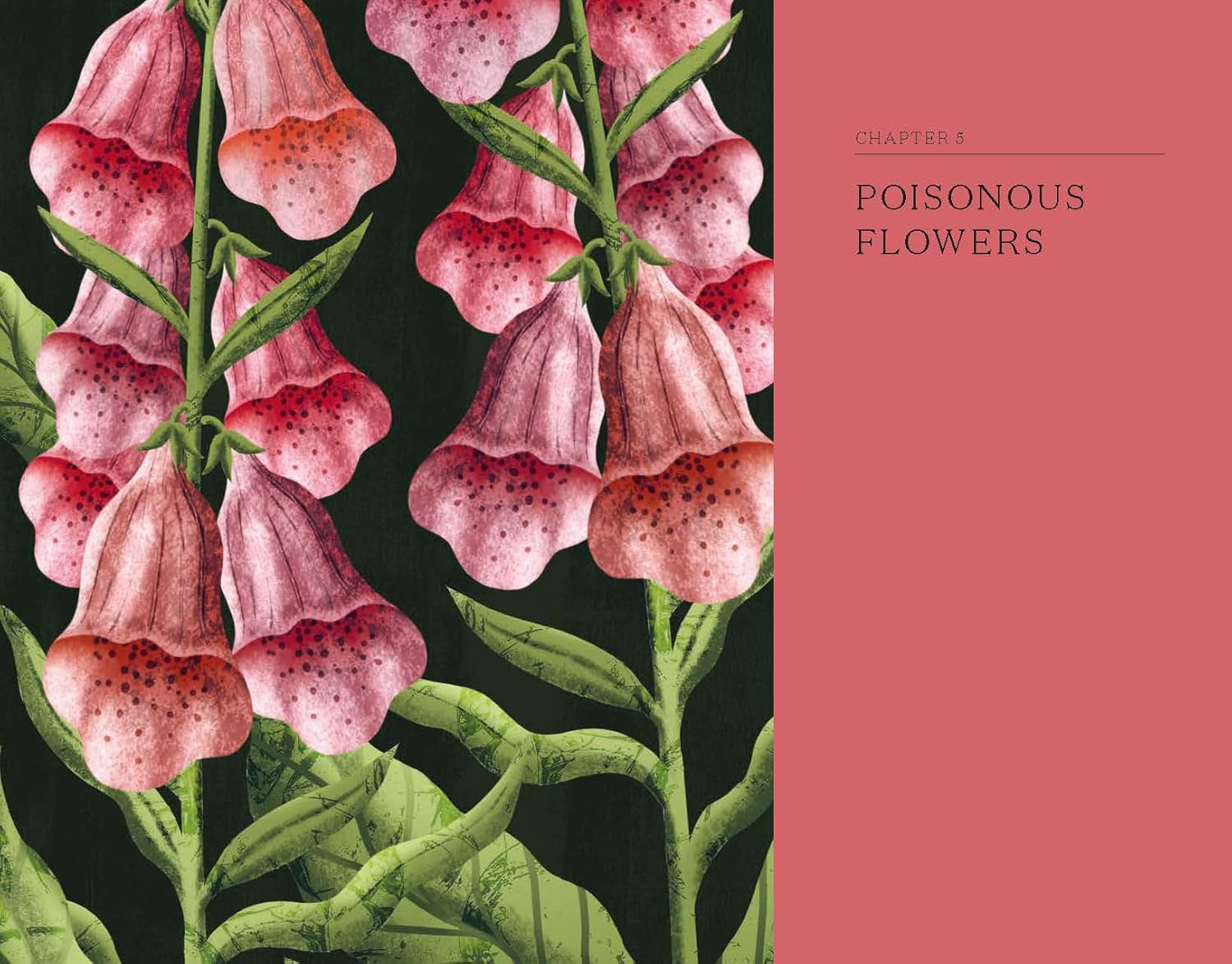 Gardening Books – Addison West