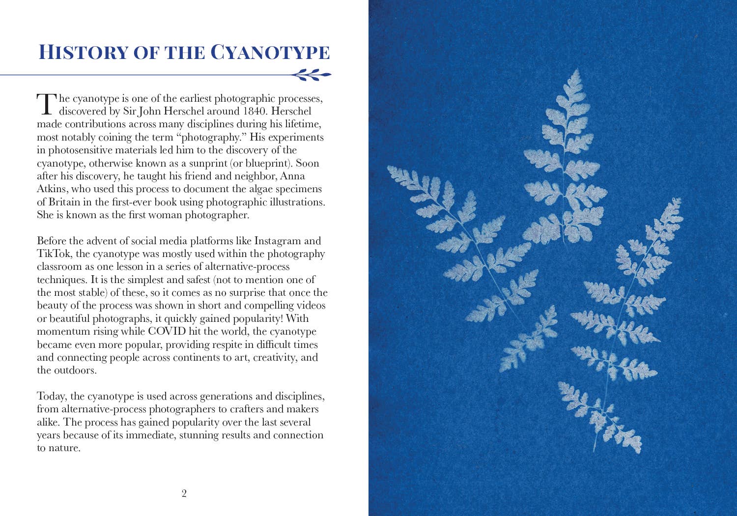 3-Color Botanical Cyanotype Kit pages at Addison West