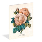 Everything Roses Notebooks by John Derian on a white background at Addison West