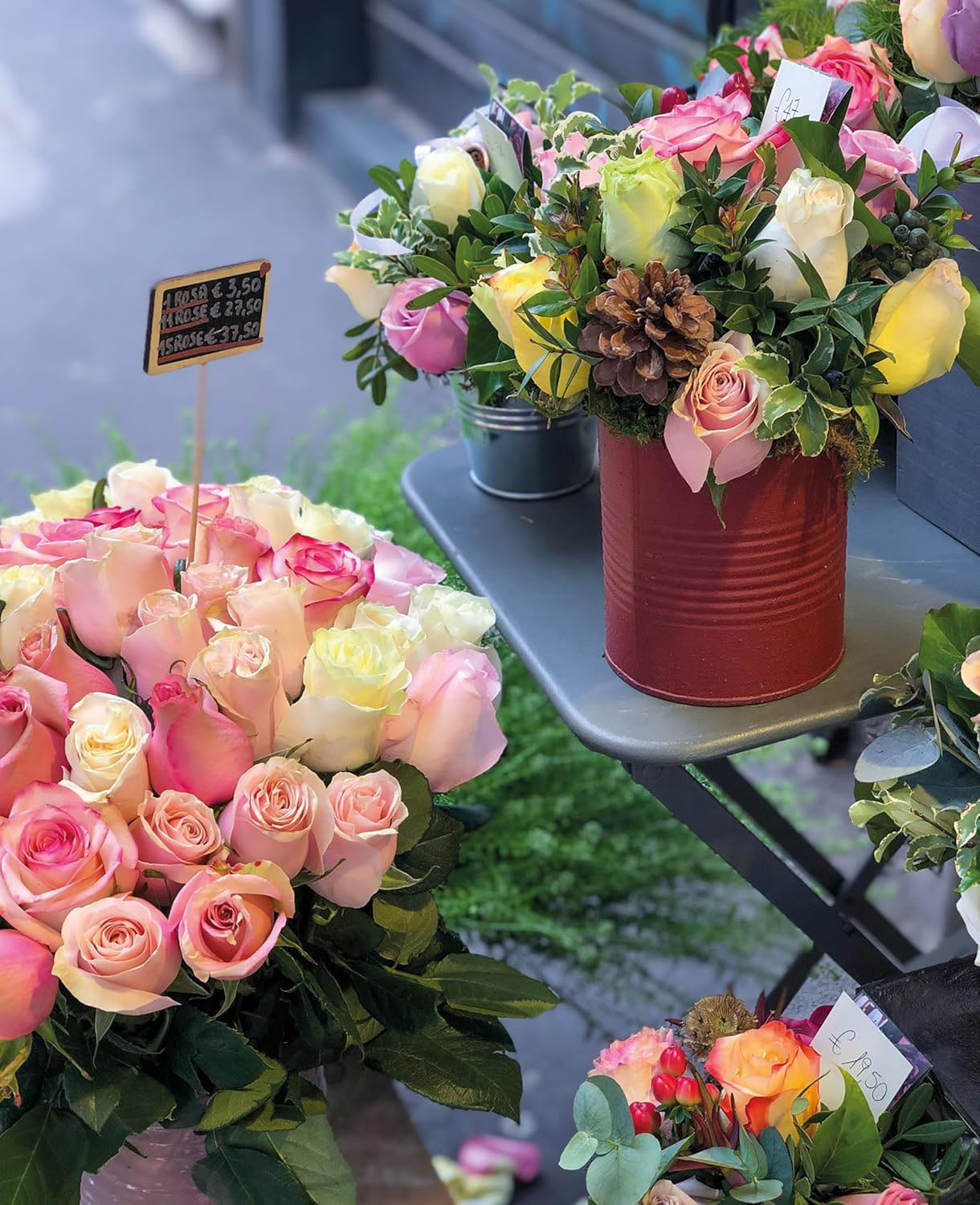 Roses Floramour Book - Addison West 