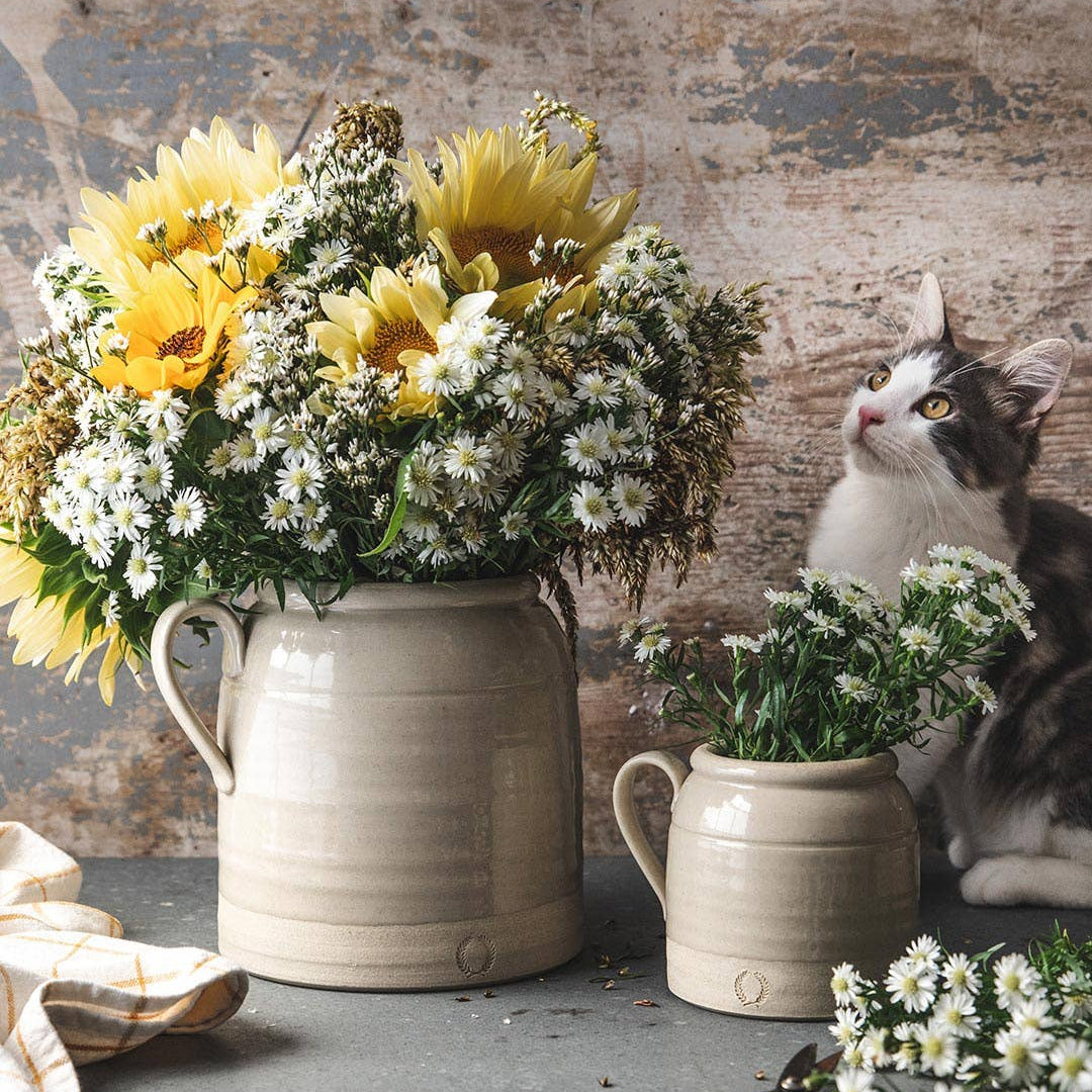 Floral arrangements in ceramic pots with a cat sitting nearby on a rustic background