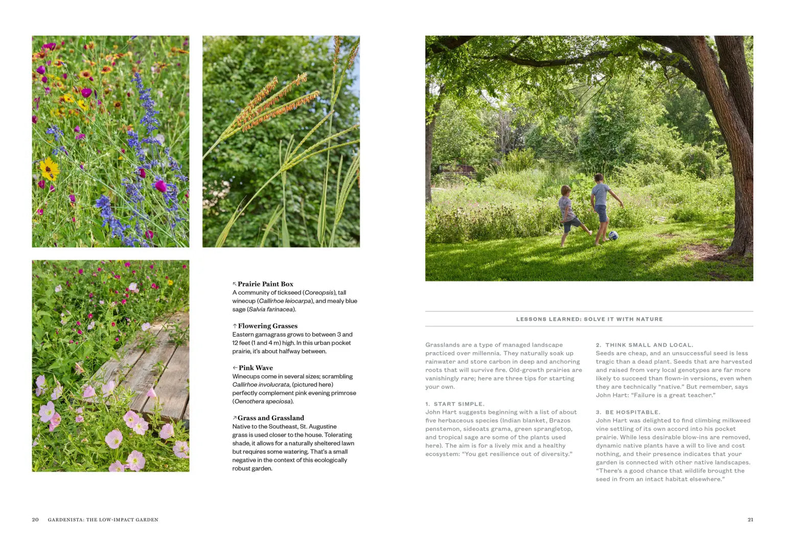 Gardenista: The Low-Impact Garden on a white background at Addison West