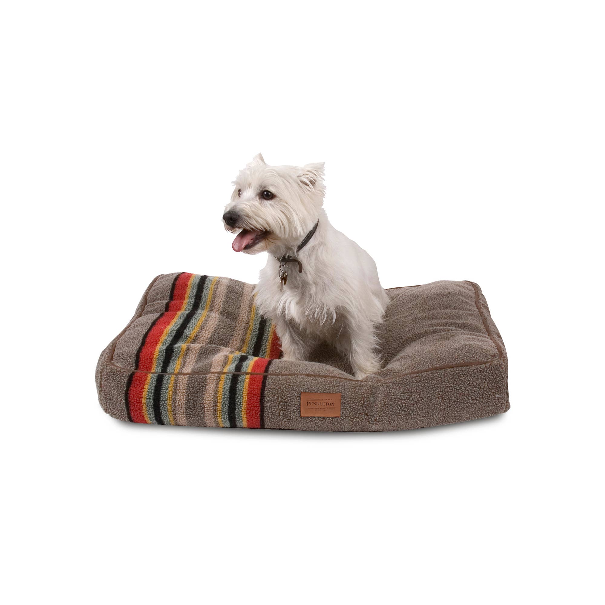 Dog sitting on a striped pet bed with a white background