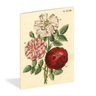 Everything Roses Notebooks by John Derian on a white background at Addison West