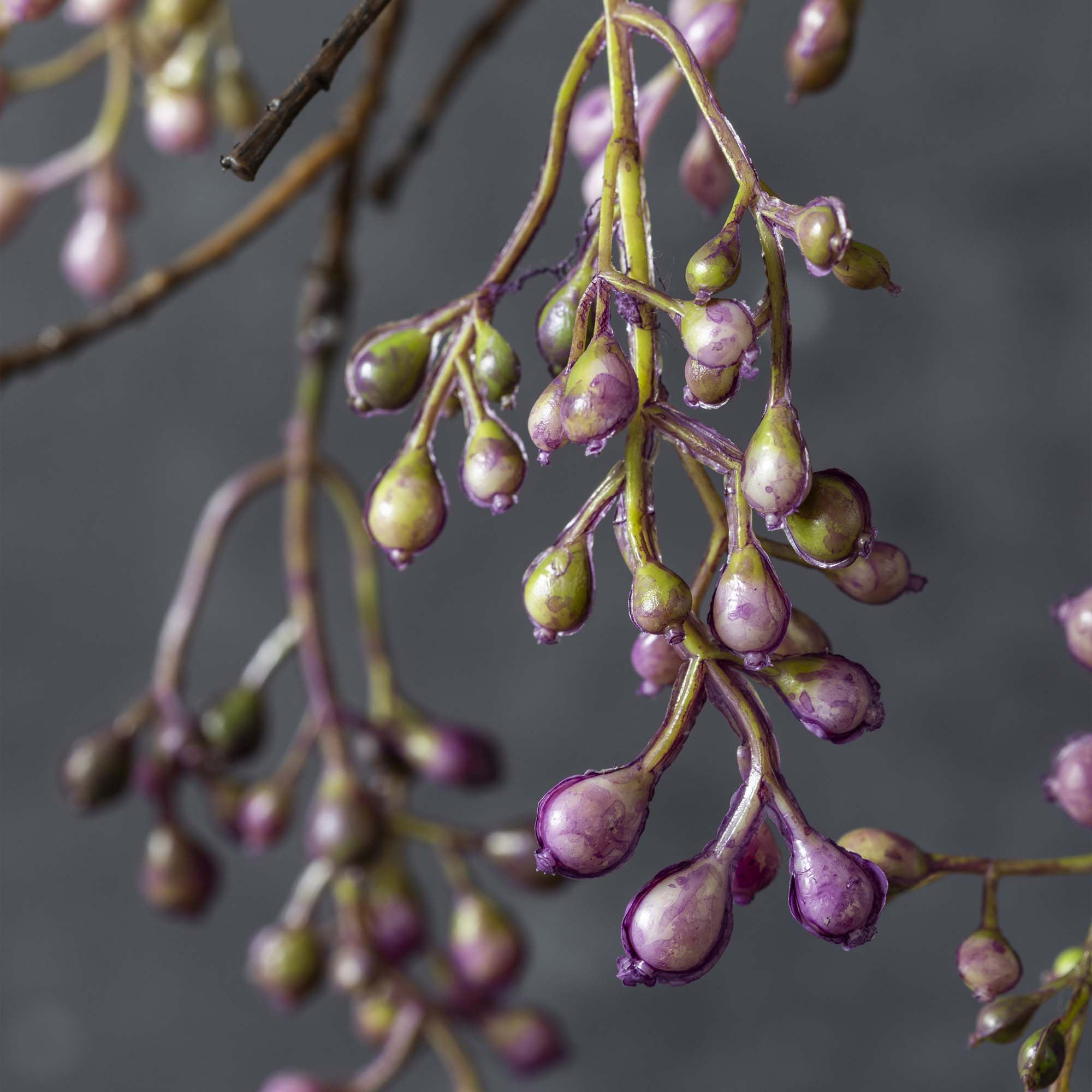 Abigail Ahern Artificial Berry Branch in Lilac on a grey background at Addison West