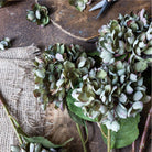 Abigail Ahern Faux Hydrangea, Chloris on a wood table at Addison West