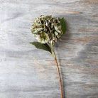 Abigail Ahern Faux Hydrangea, Chloris on a wood table at Addison West