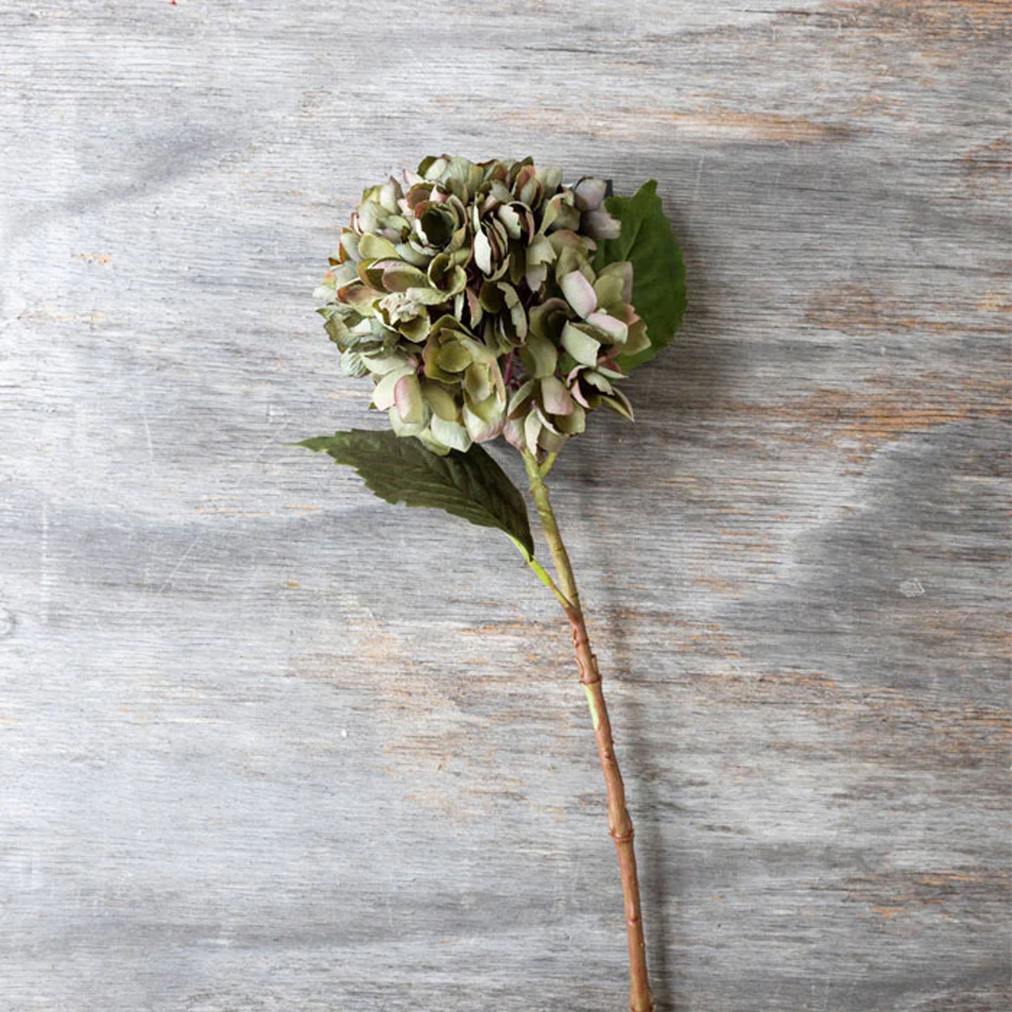 Abigail Ahern Faux Hydrangea, Chloris on a wood table at Addison West