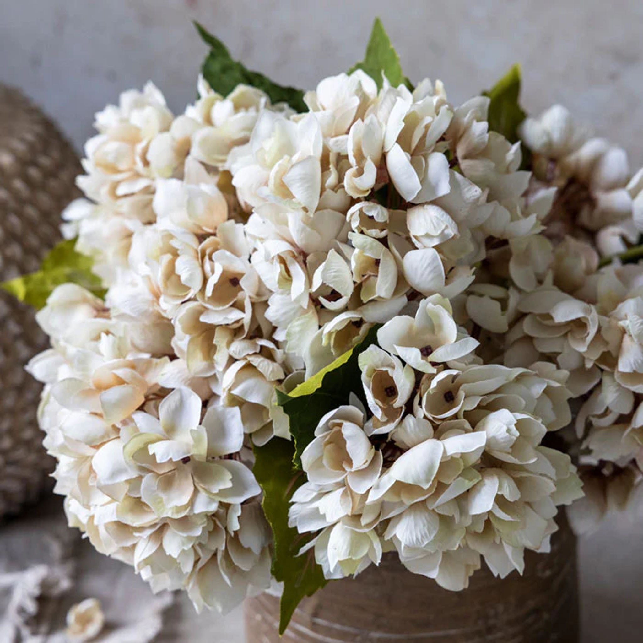 Abigail Ahern Faux Hydrangea in Morning Mist on a grey background at Addison West