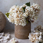 Abigail Ahern Faux Hydrangea in Morning Mist on a grey background at Addison West