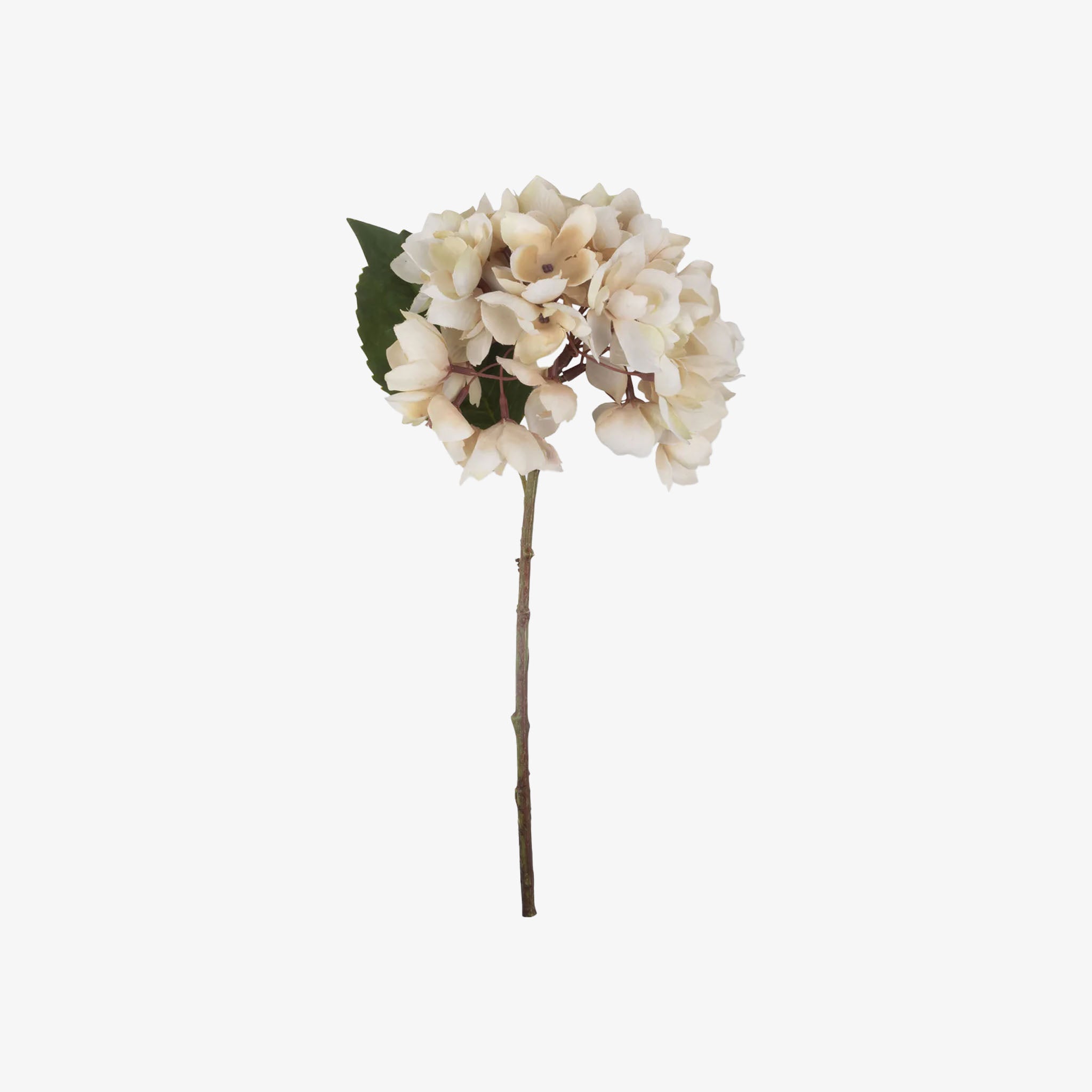 Abigail Ahern Faux Hydrangea in Morning Mist on a white background at Addison West