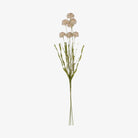 Abigail Ahern Faux Large Melaleuca in Cream on a white background at Addison West