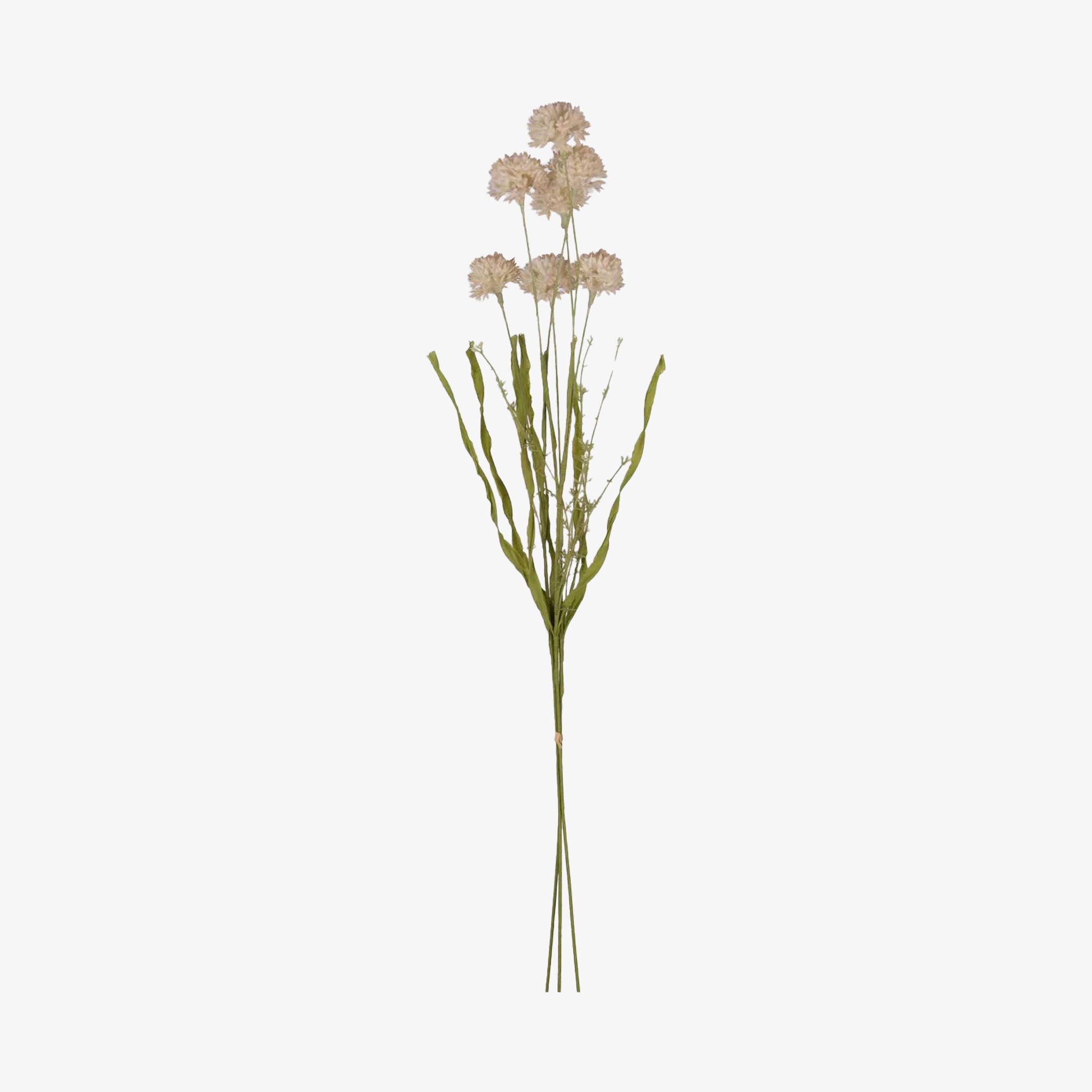 Abigail Ahern Faux Large Melaleuca in Cream on a white background at Addison West