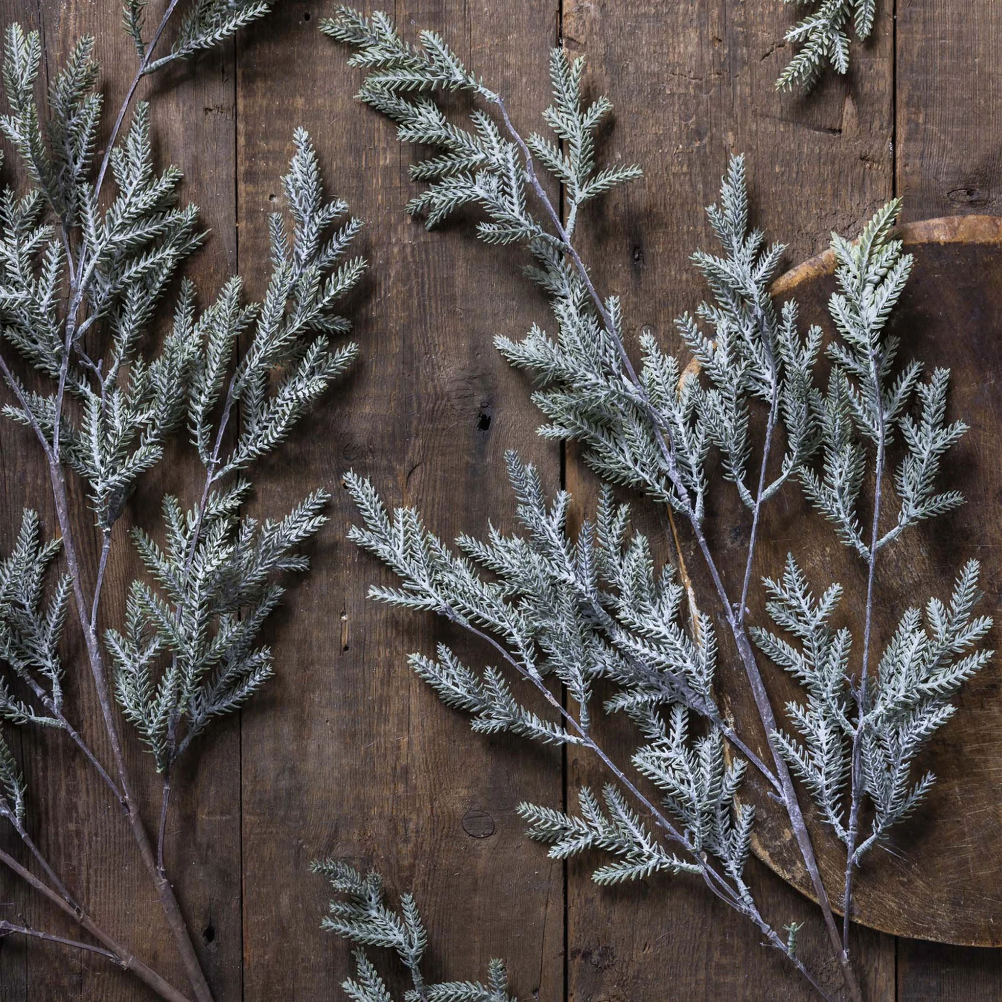 Abigail Ahern Faux Pine Branch in Frost on a wood background at Addison West