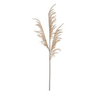 Abigail Ahern Faux Wild Grass in Oat on a white background at Addison West