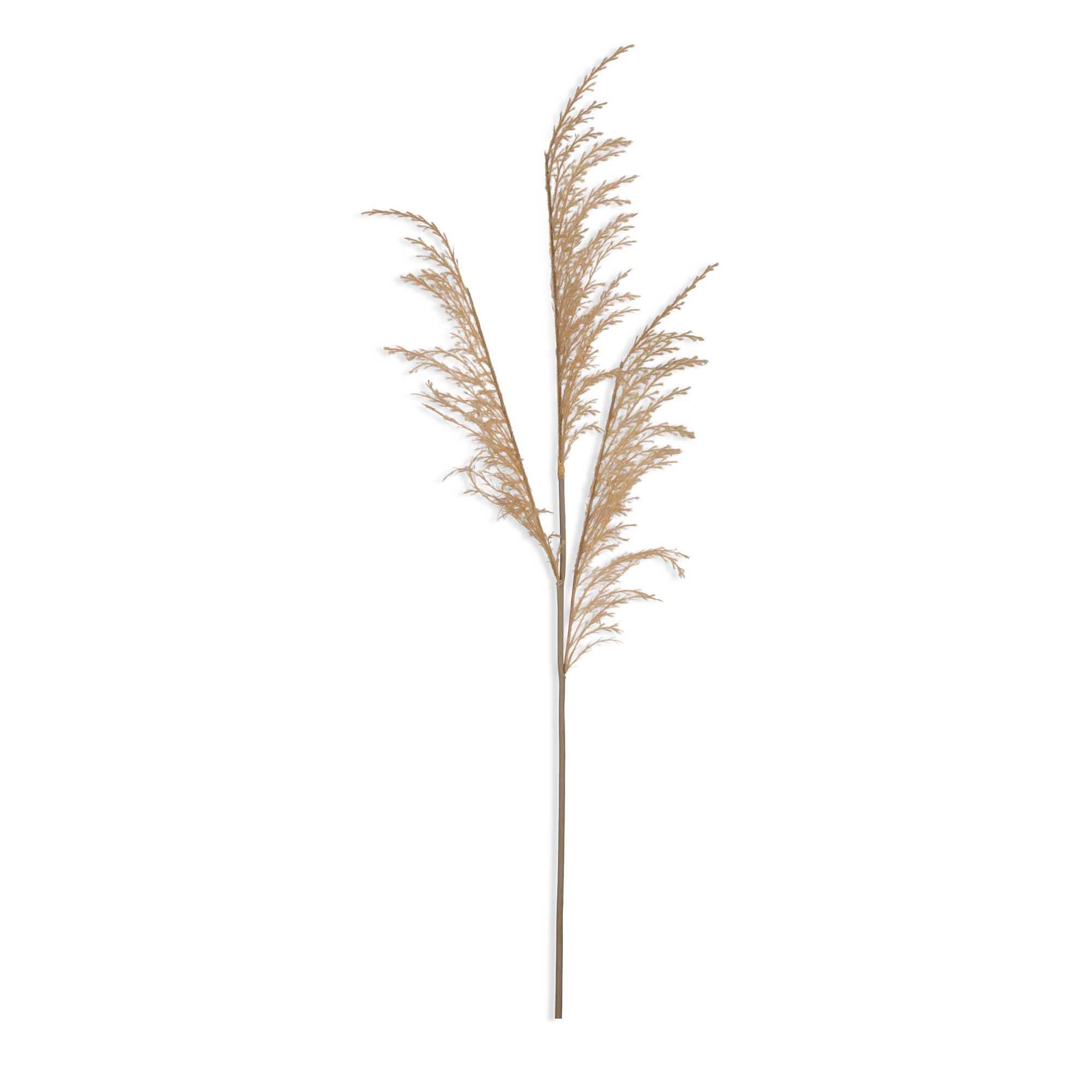 Abigail Ahern Faux Wild Grass in Oat on a white background at Addison West
