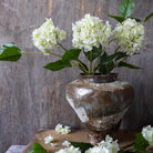 Abigail Ahern Real Touch Artificial Hydrangea in Zest on a brown background at Addison West