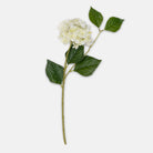 Abigail Ahern Real Touch Artificial Hydrangea in Zest on a white background at Addison West