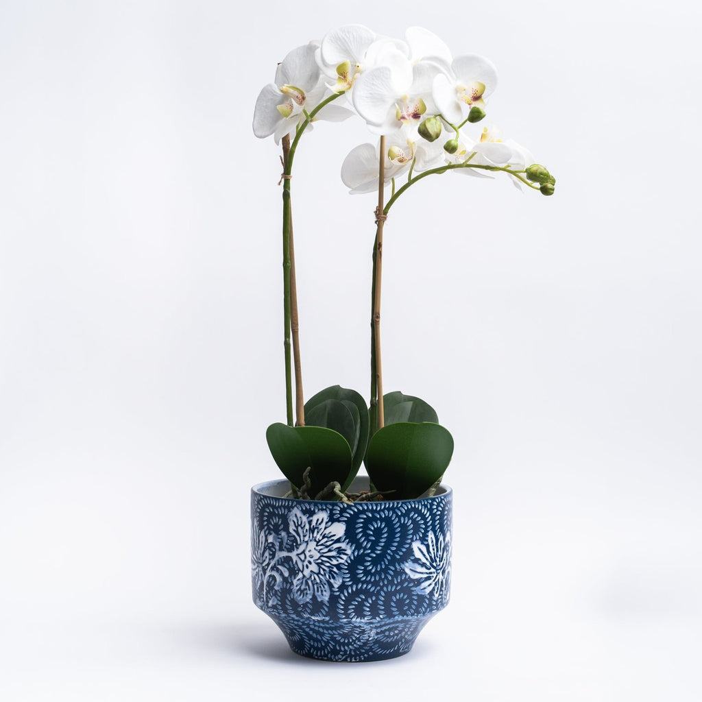 Blue planter with floral pattern with a white orchid plant on a white background