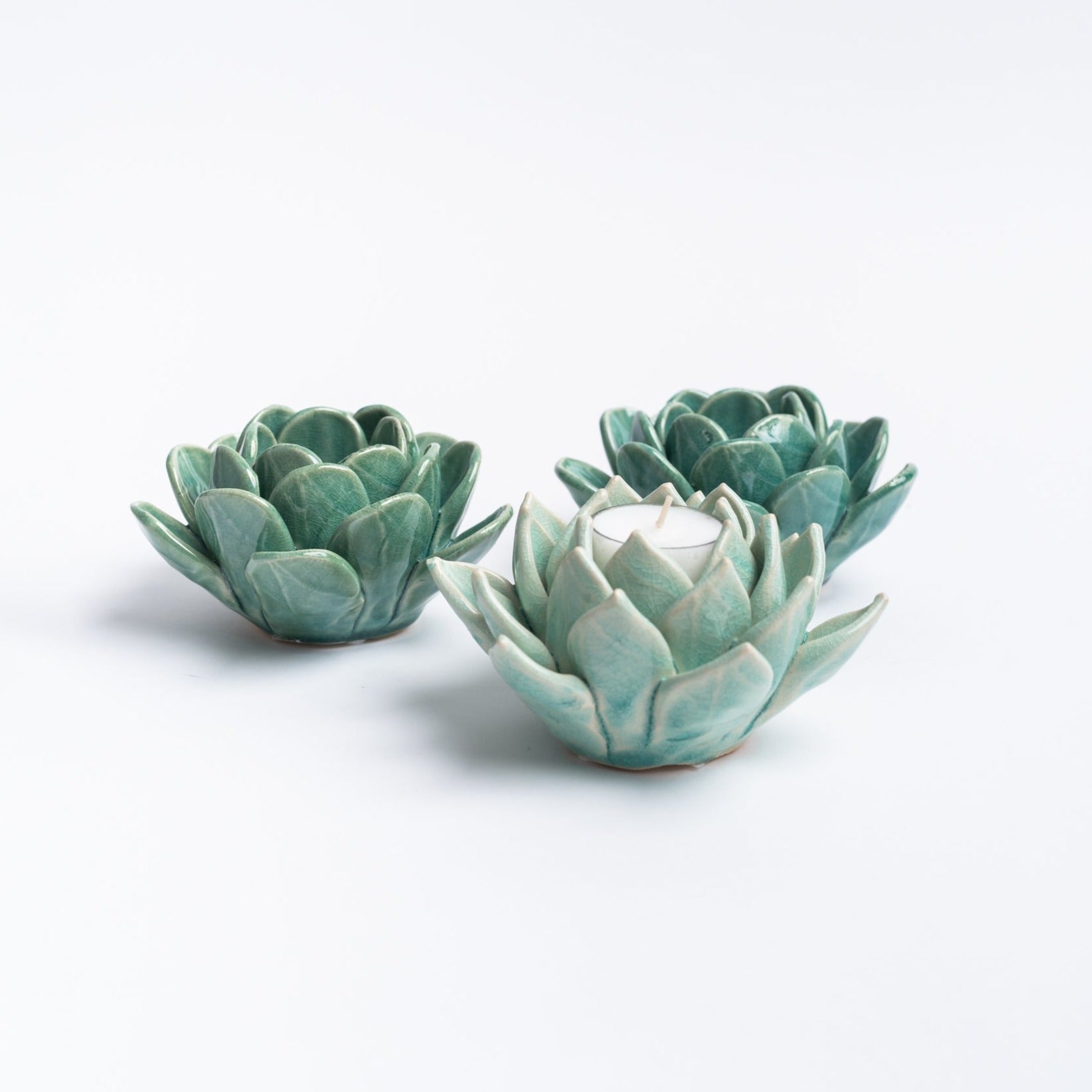 Blue succulent tea light holders on a white background