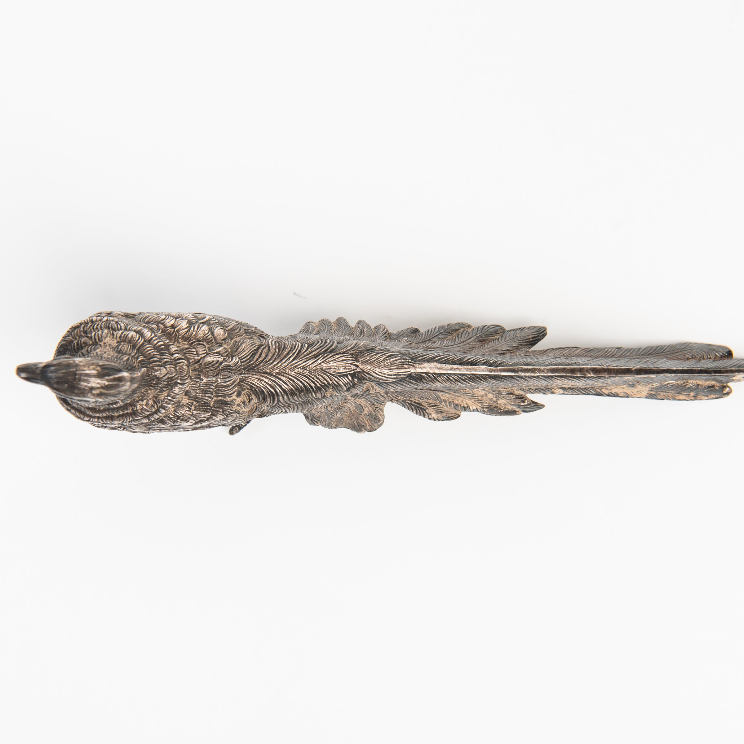 Vintage Silver Pheasant on a white background at Addison West