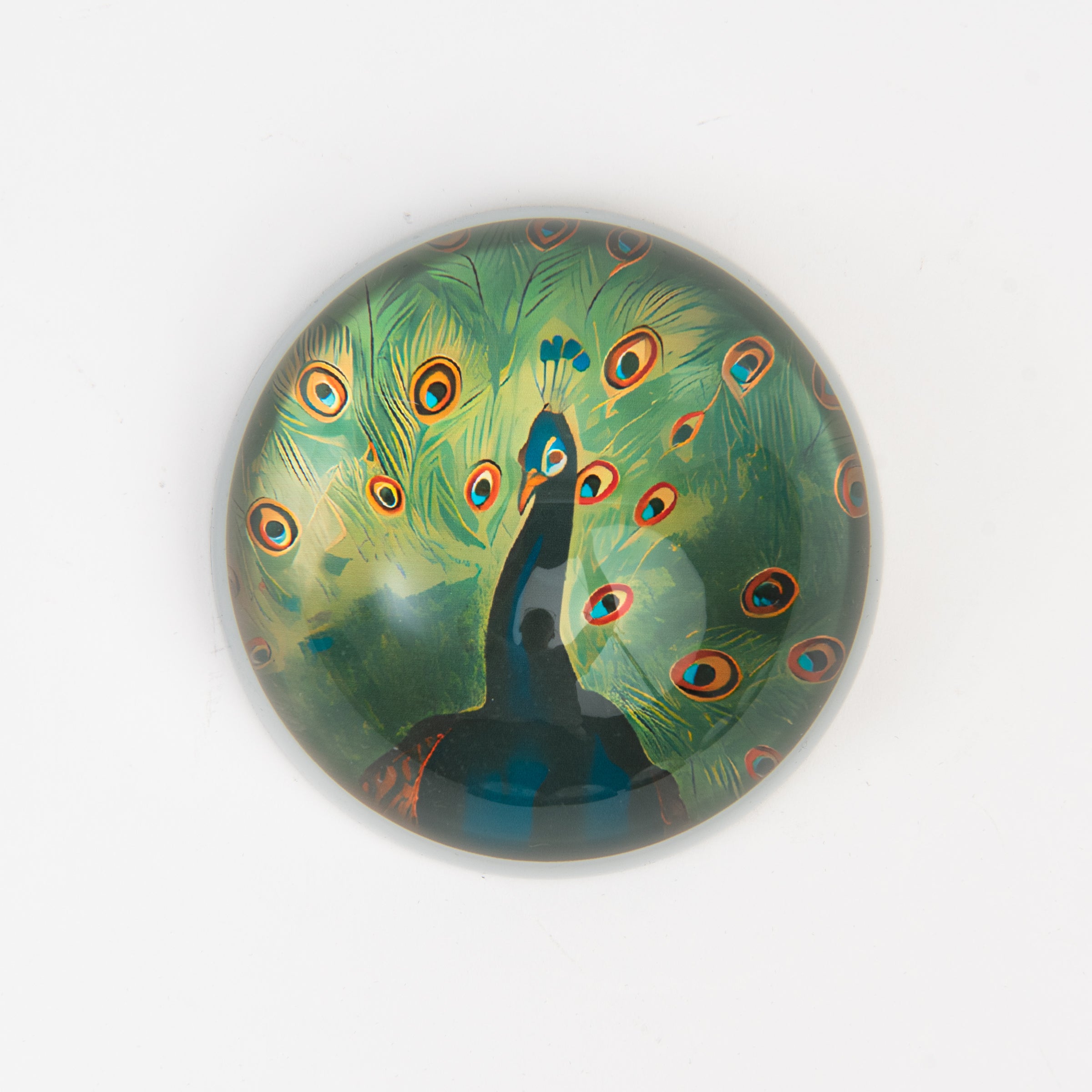 Peacock Paperweight on a white background at Addison West