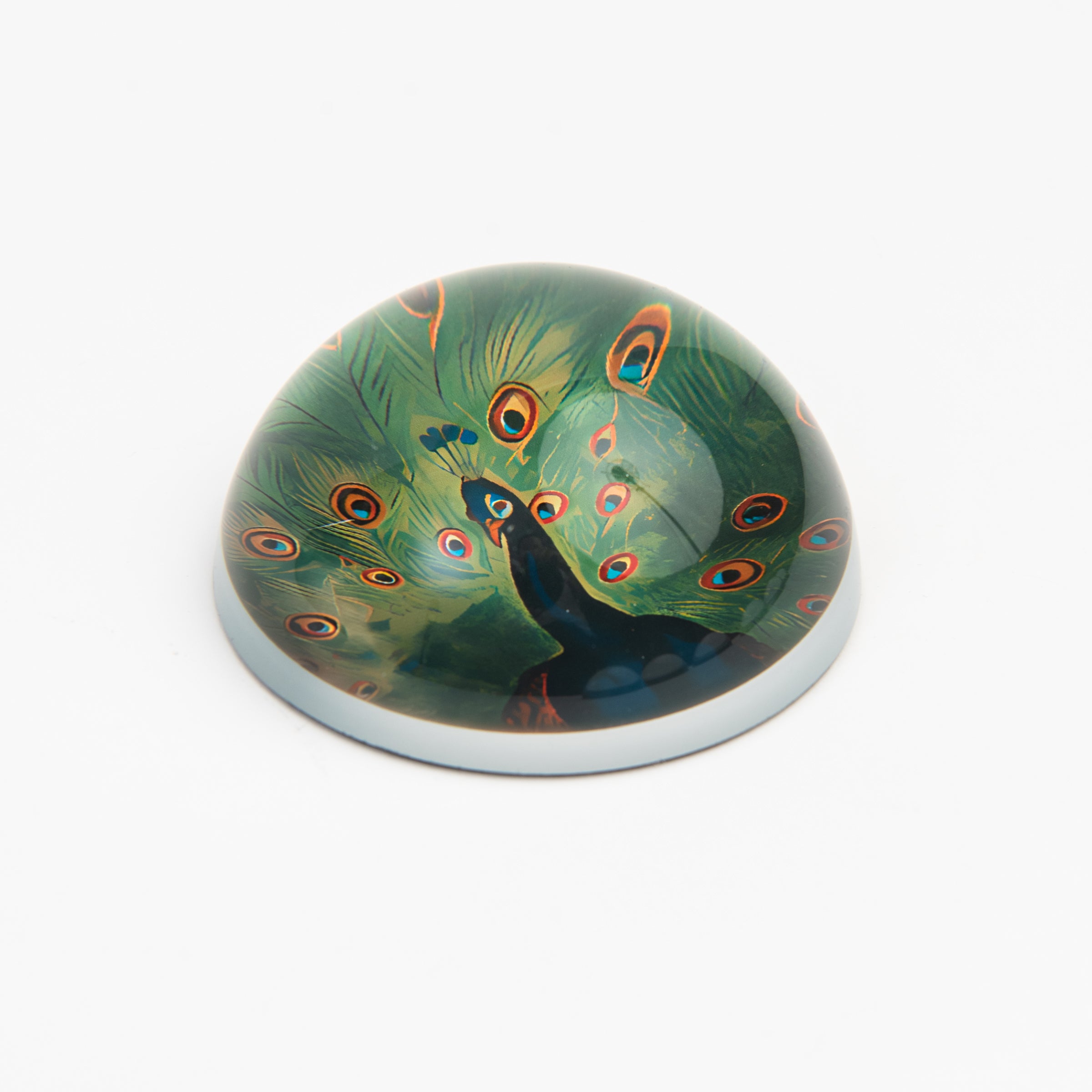 Peacock Paperweight on a white background at Addison West
