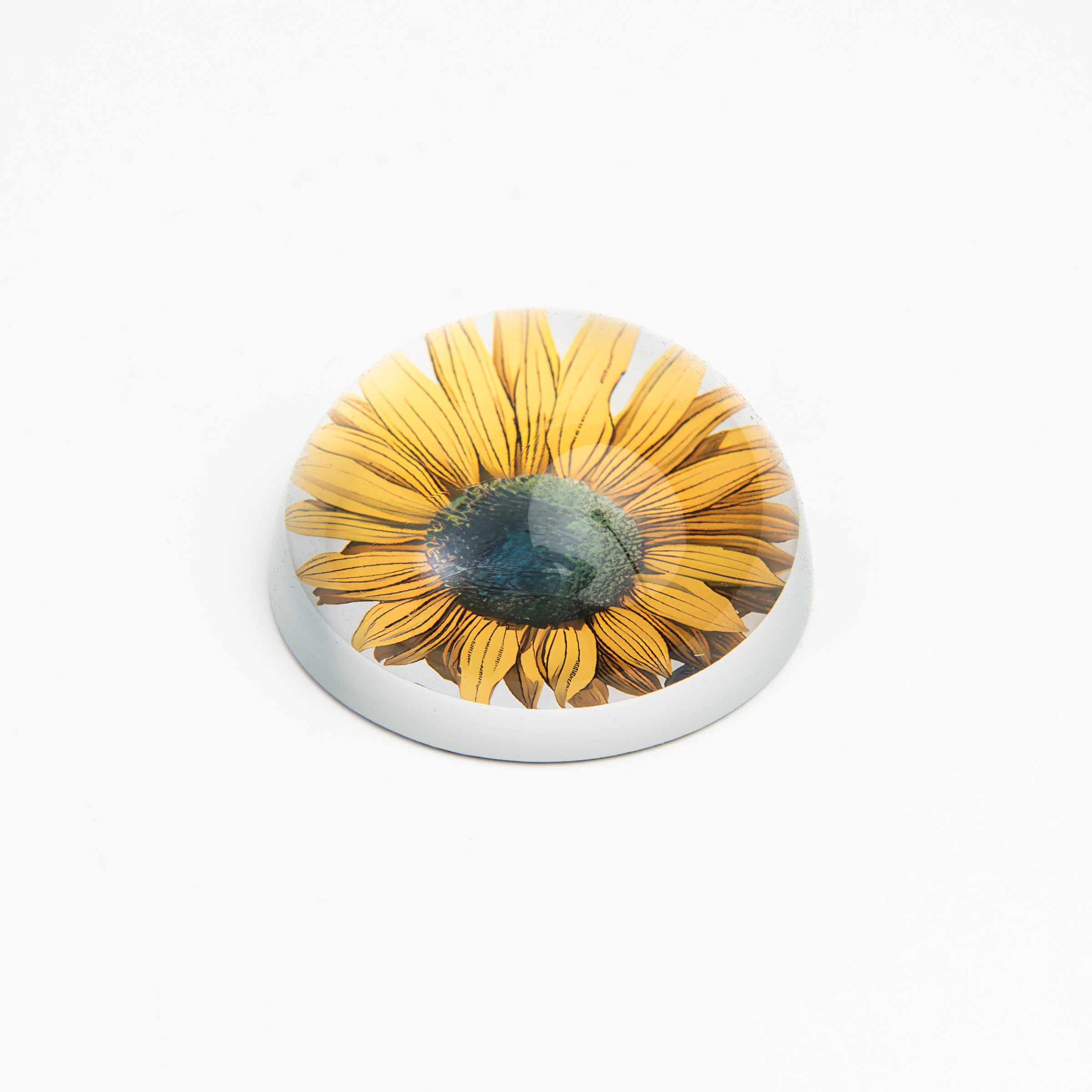 Sunflower Paperweight on a white background at Addison West