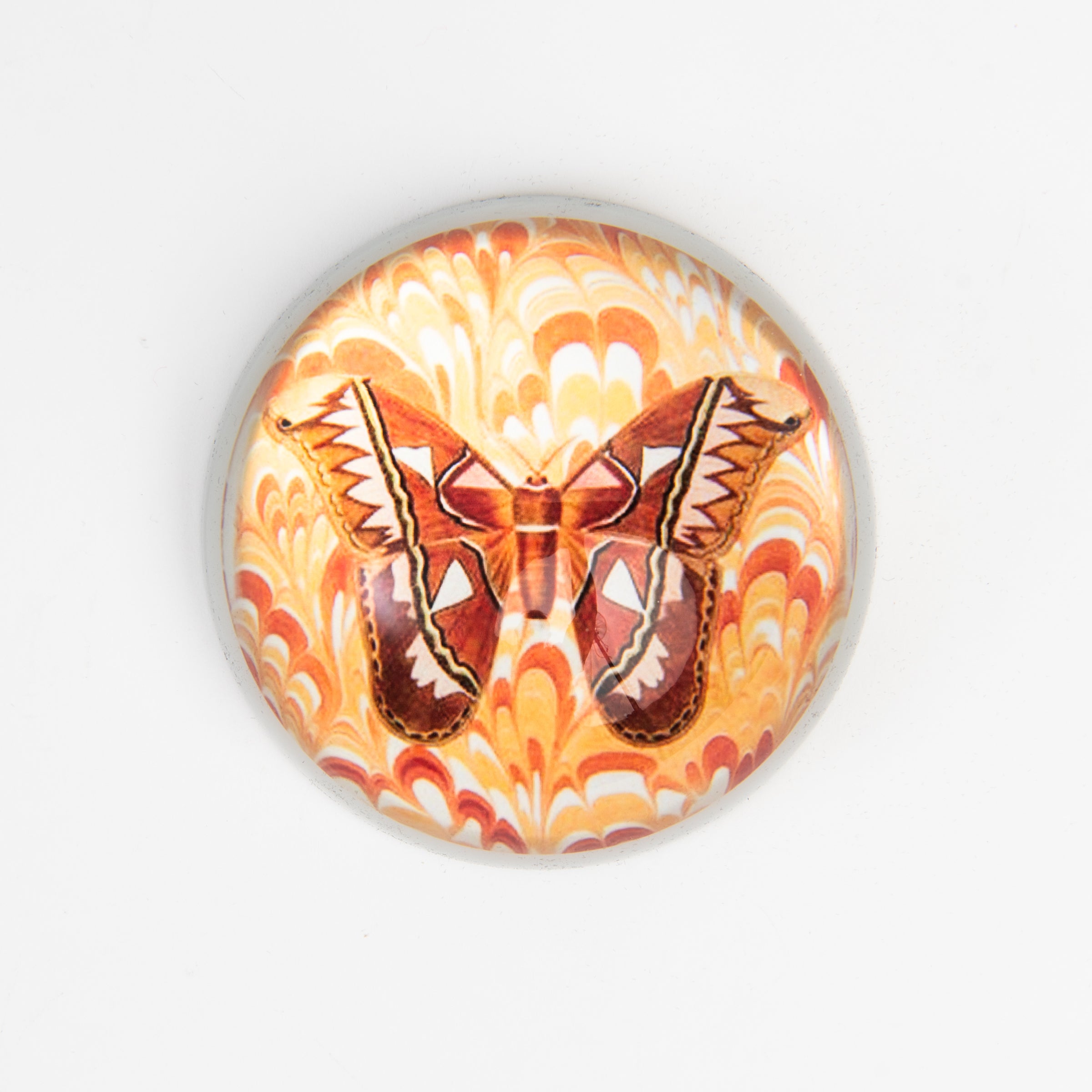 Brown & Orange Moth Paperweight on a white background at Addison West
