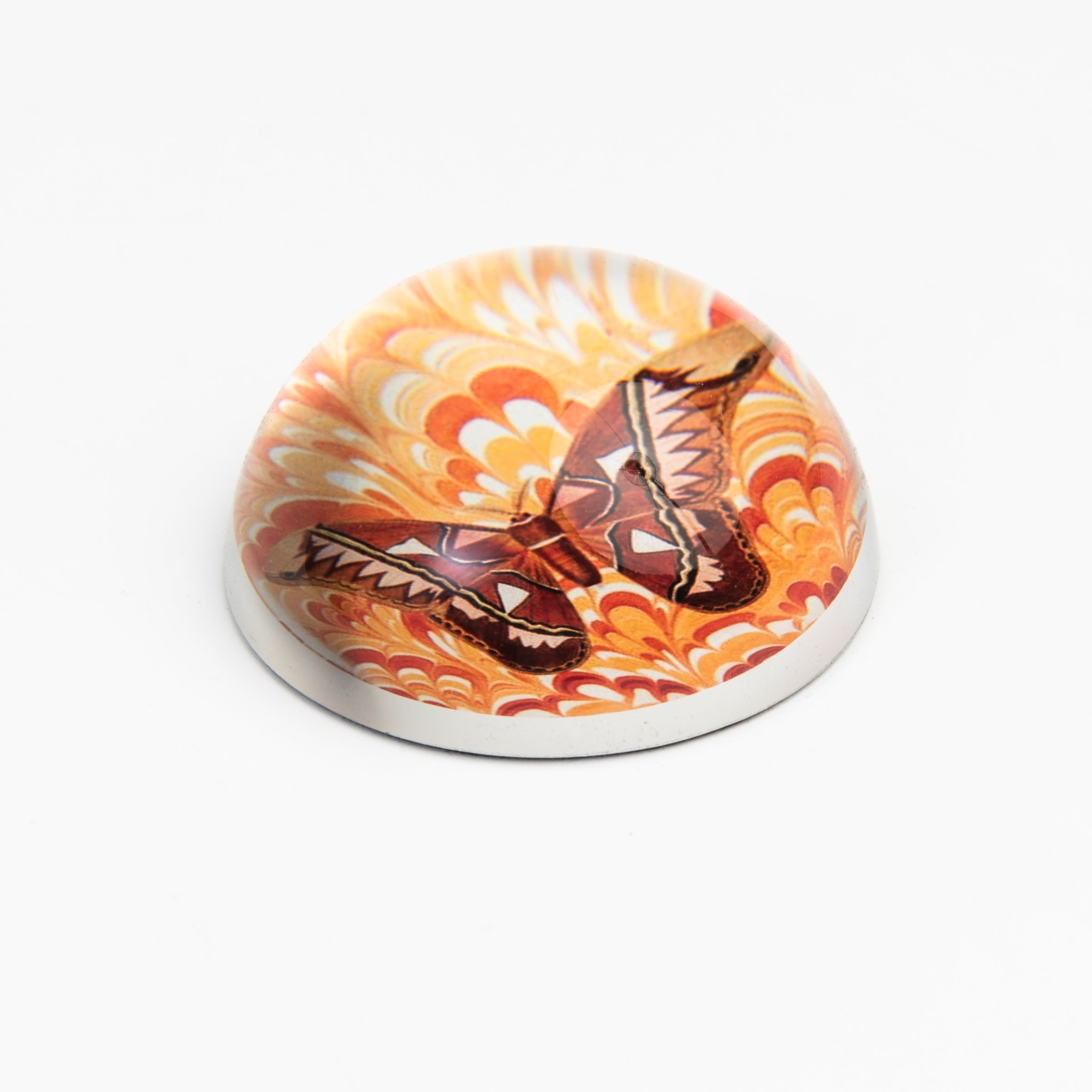 Brown & Orange Moth Paperweight on a white background at Addison West