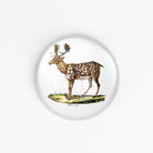 Stag Paperweight on a white background at Addison West