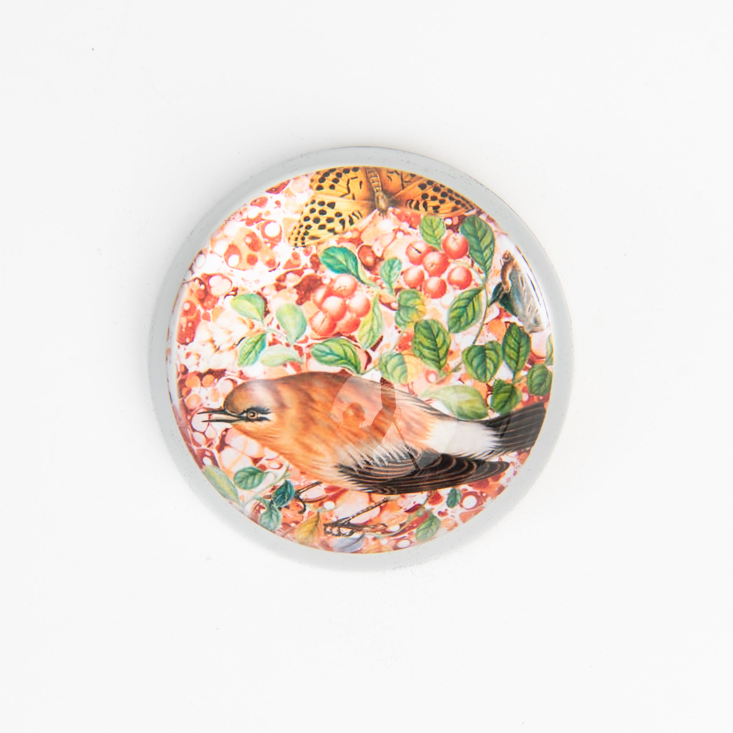 Bird #24 Paperweight on a white background at Addison West