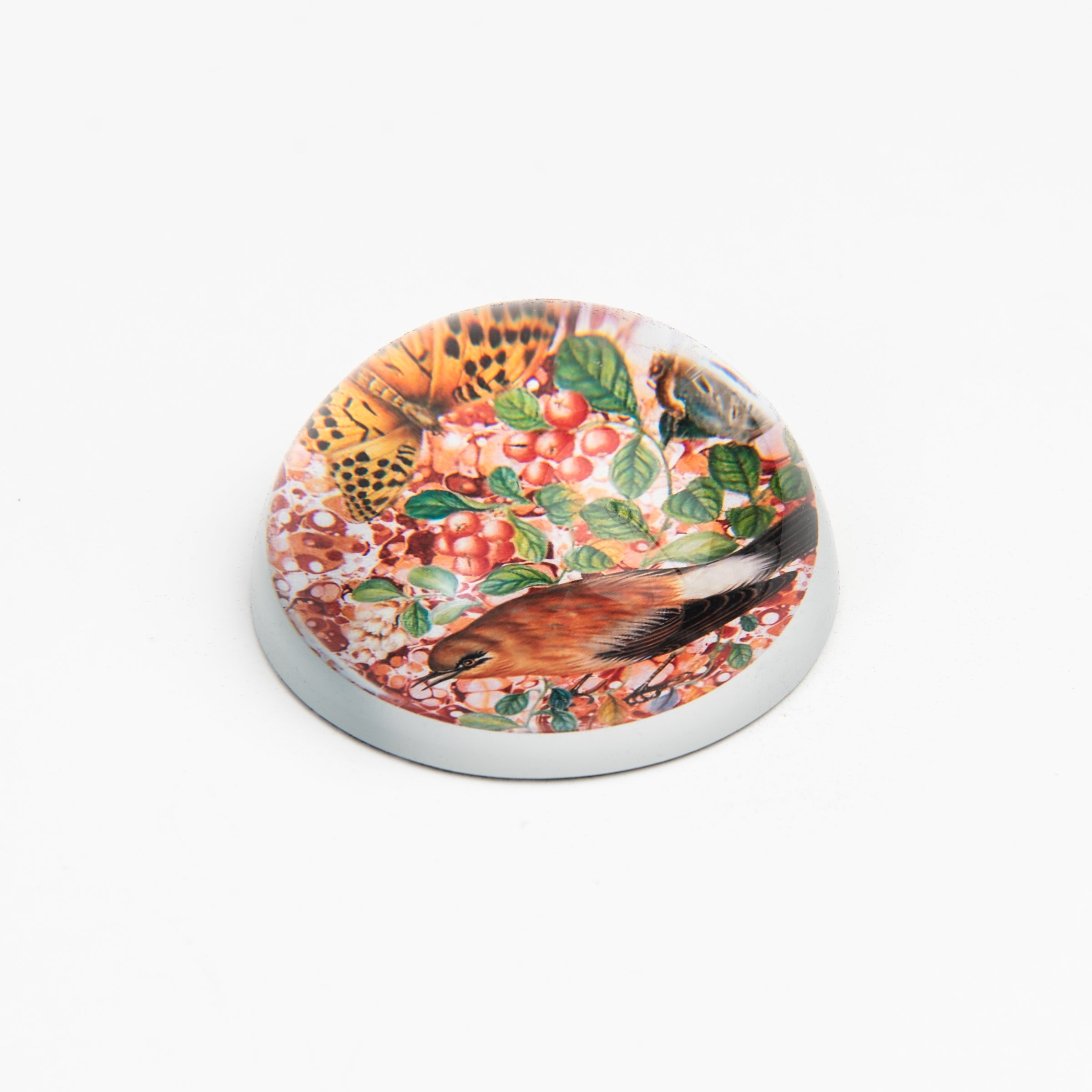 Bird #24 Paperweight on a white background at Addison West