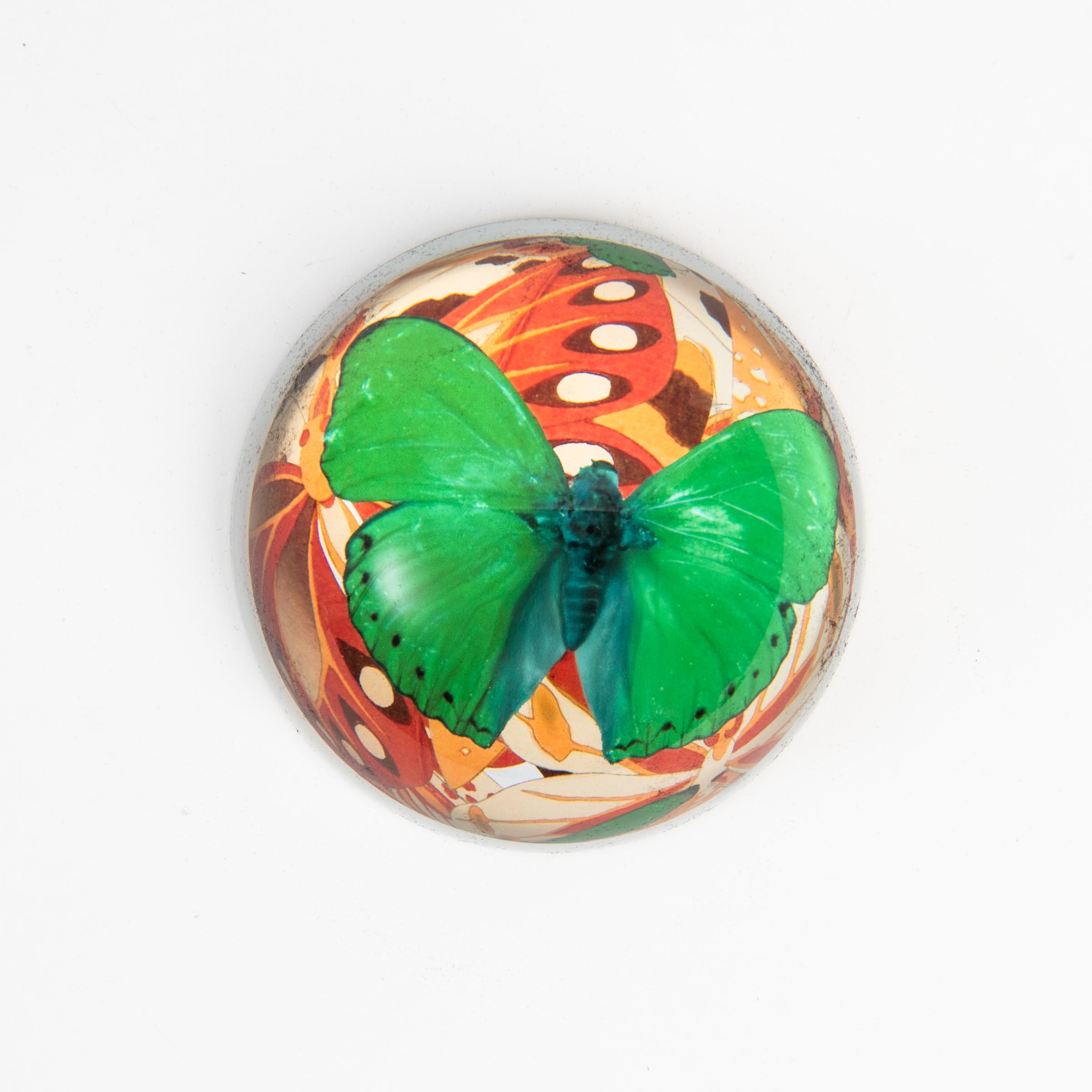 Green Moths Paperweight on a white background at Addison West