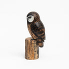 Saw Whet Owl Hand Carved Ornament on a white background at Addison West