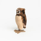 Handmade Wool Felt Burrowing Owl on a white background at Addison West