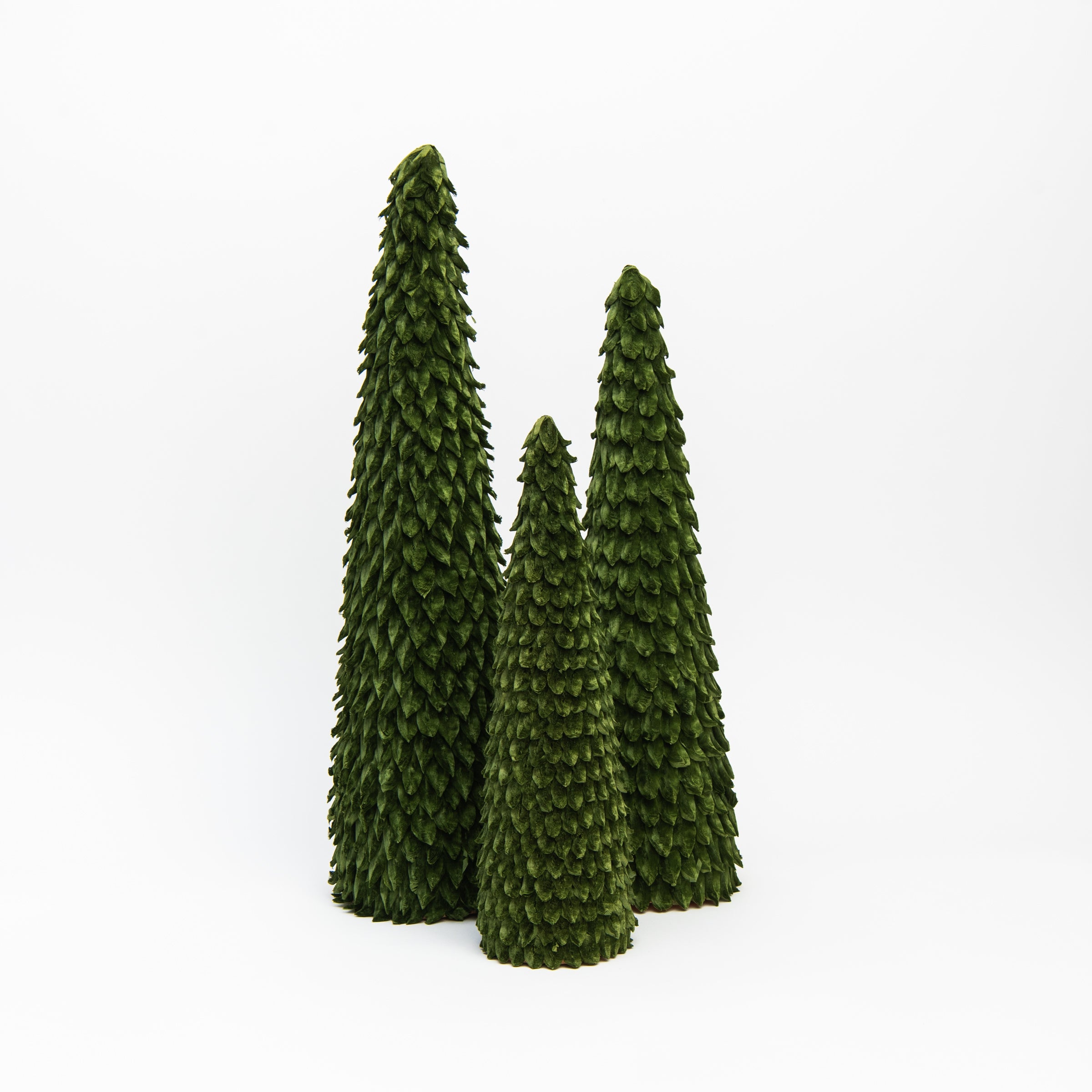 Dark Green Petal Leaf Cone Trees on a white background at Addison West