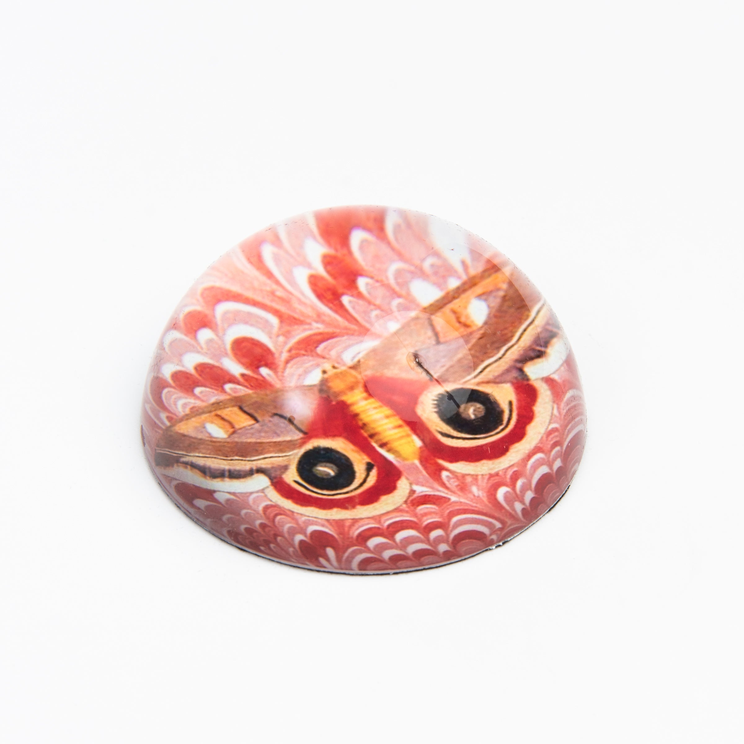 Red Moth Paperweight on a white background at Addison West
