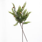 Cypress Stem with Pinecones on a white background at Addison West