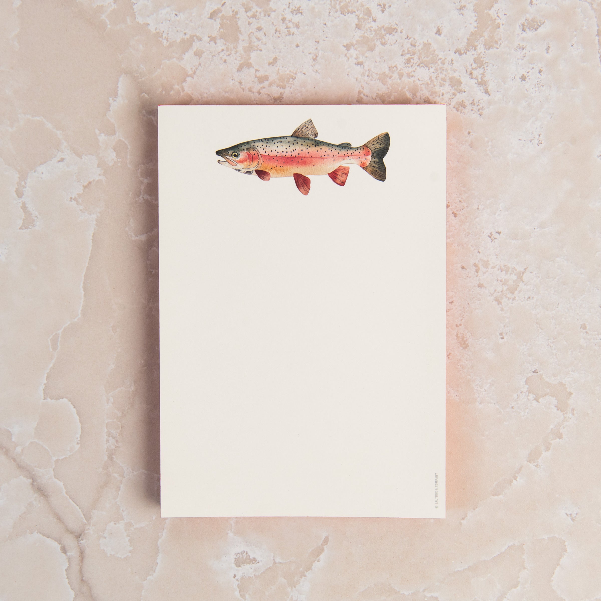 Rainbow Trout Notepad on a table at Addison West