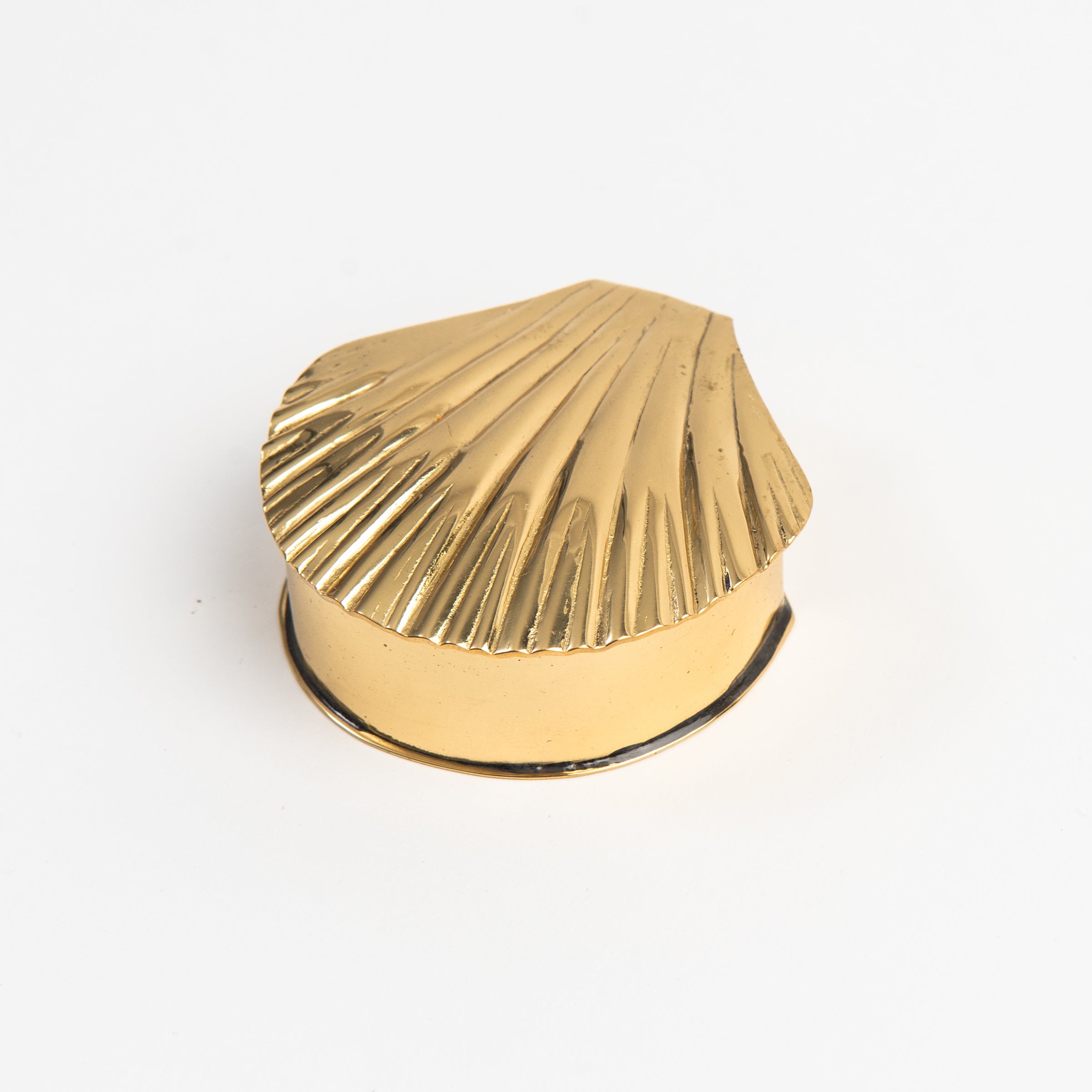 Antiqued Brass Sea Shell Trinket Box on a white background at Addison West