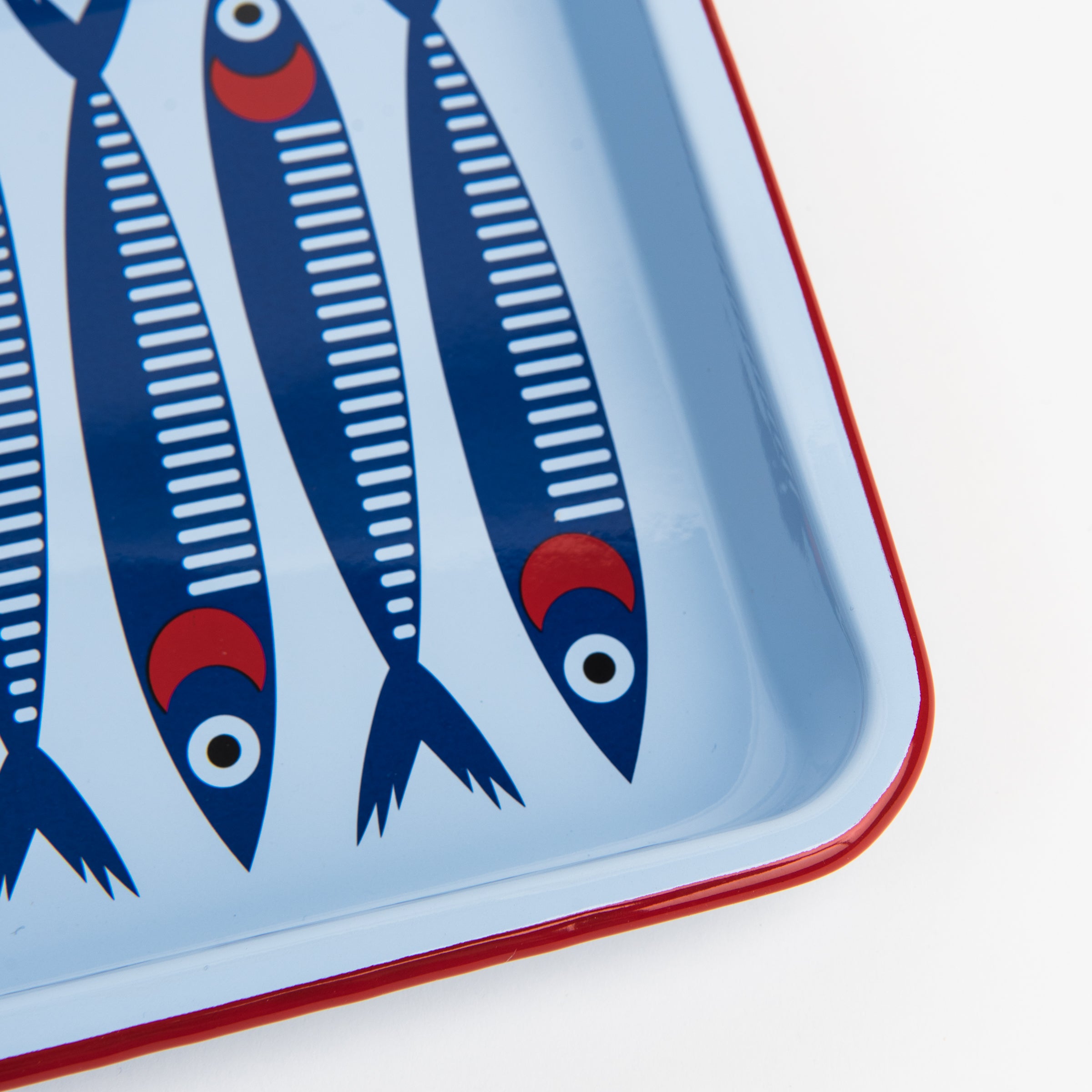 Small Anchovies Rectangle Tray on a white background at Addison West