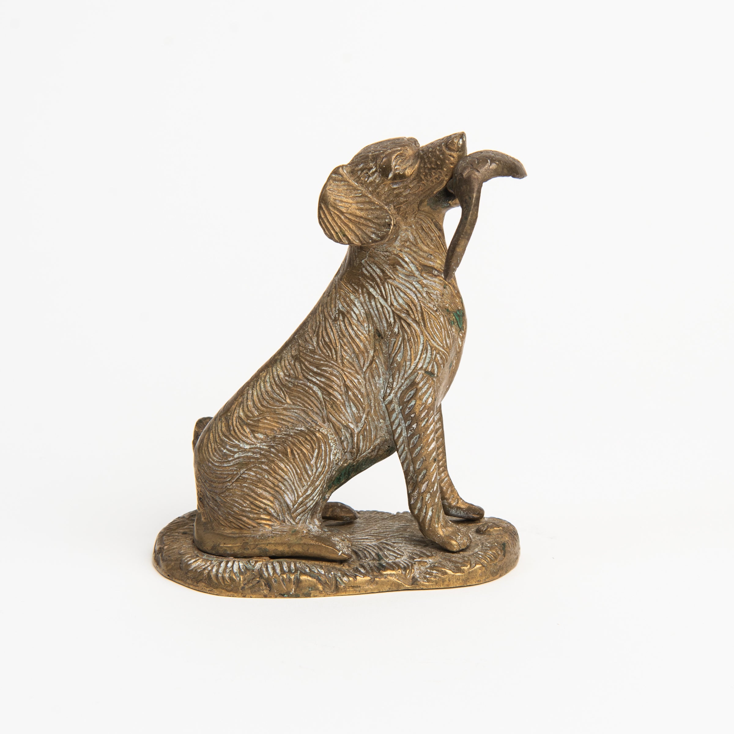 Vintage Brass Hunting Dog on a white background at Addison West