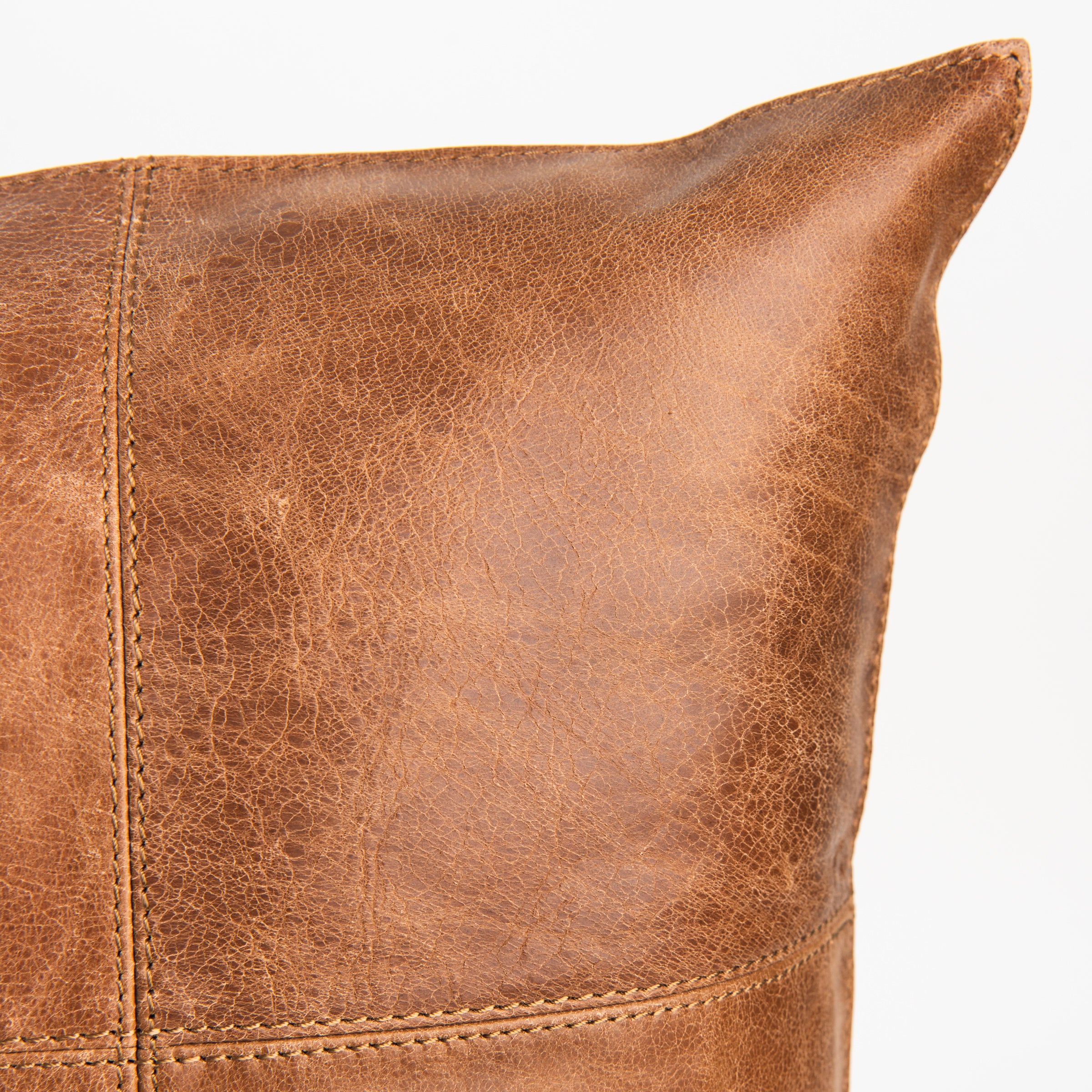 Dania Leather Pillow on a white background at Addison West