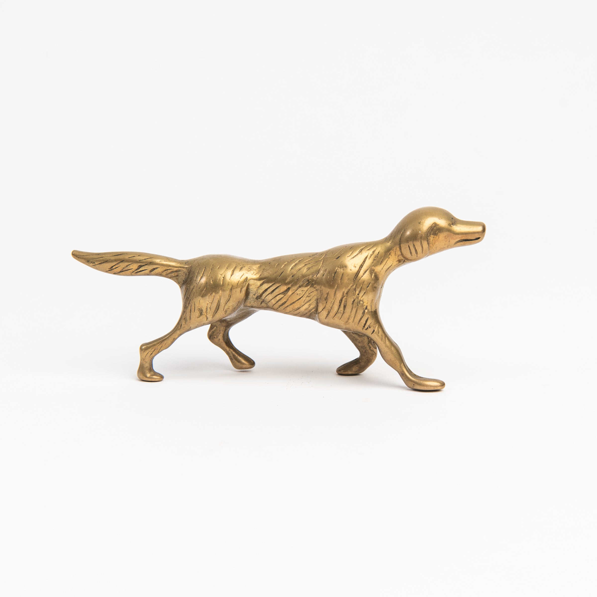 Vintage Brass Dog on a white background at Addison West